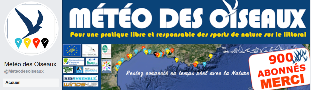 Accès au site Météo des oiseaux